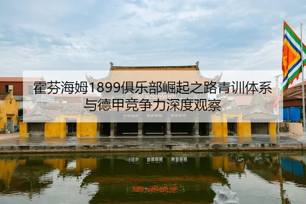 霍芬海姆1899俱乐部崛起之路青训体系与德甲竞争力深度观察