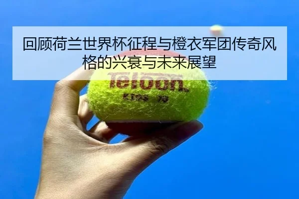回顾荷兰世界杯征程与橙衣军团传奇风格的兴衰与未来展望