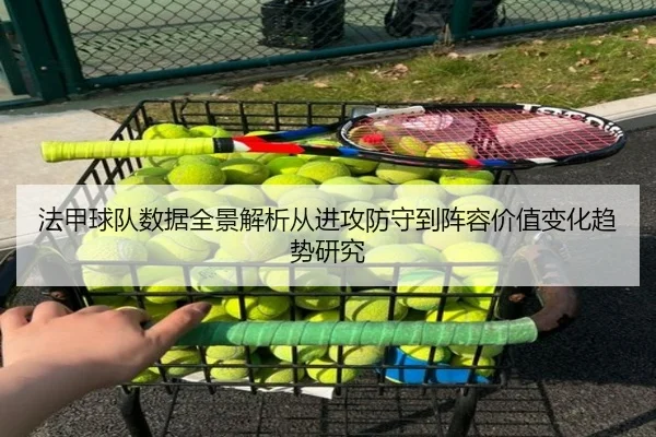 法甲球队数据全景解析从进攻防守到阵容价值变化趋势研究