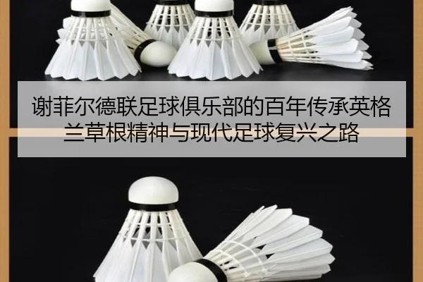 xie-fei-er-de-lian-zu-qiu-ju-le-bu-de-bai-nian-chuan-cheng-ying-ge-lan-cao-gen-jing-shen-yu-xian-dai-zu-qiu-fu-xing-zhi-2-124.jpg