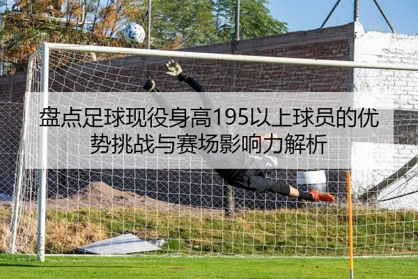 盘点足球现役身高195以上球员的优势挑战与赛场影响力解析